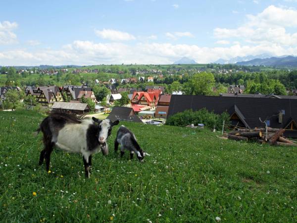 Najbliższe otoczenie