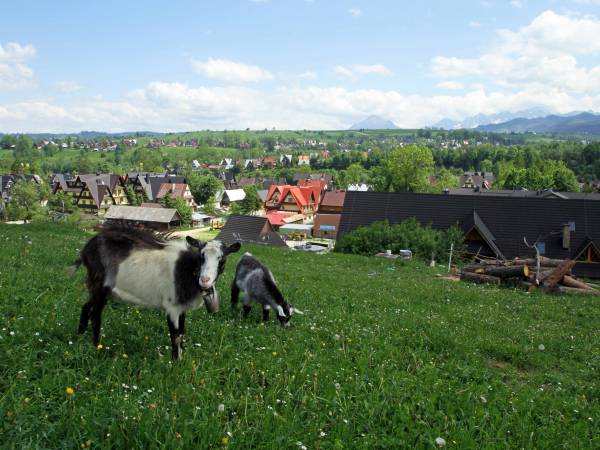 Harendziańskie pola