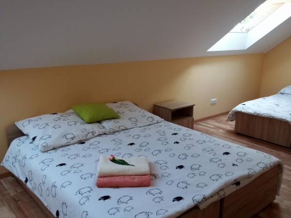 Pokój czteroosobowy z łazienką