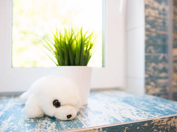 Domki całoroczne KLIF