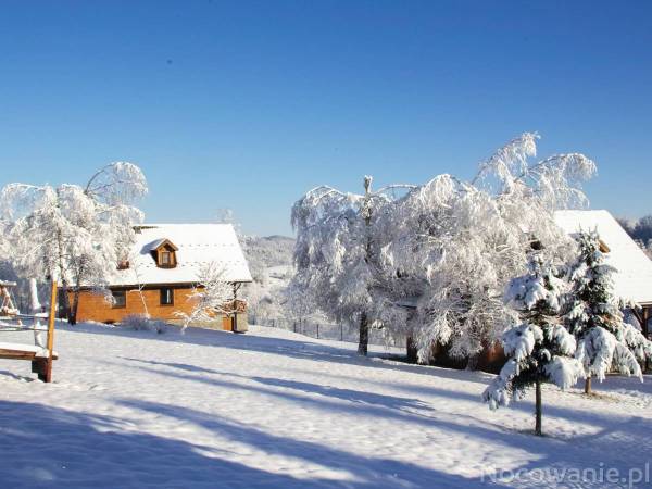 Jodłowe Domy
