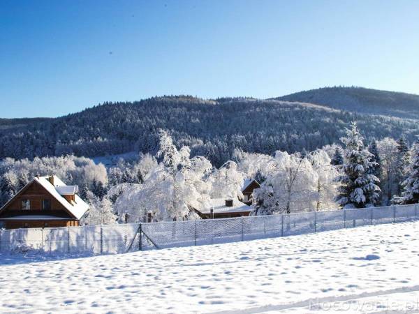 Jodłowe Domy