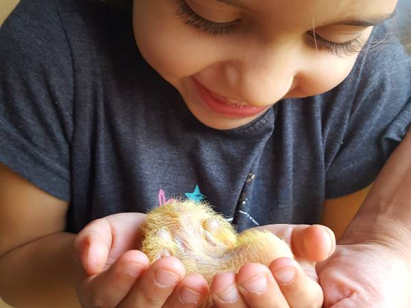 mała Julka z jeszcze mniejszym pisklaczkiem