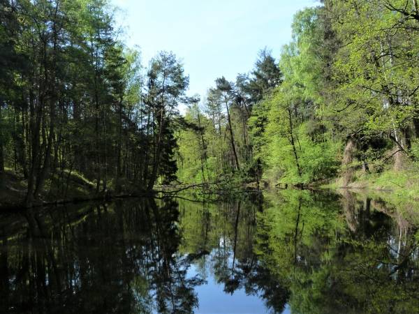 Środowisko naturalne