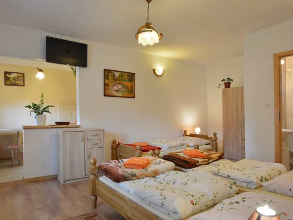 Noclegi Nad Wetlinką 