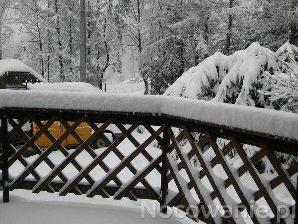 Zima w świcie dobrym.