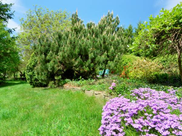 AGROTURYSTYKA Cztery Kąty Alina i Marek Kuczwalscy