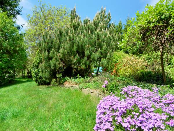 AGROTURYSTYKA Cztery Kąty Alina i Marek Kuczwalscy