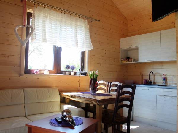 Domki nad jeziorem Ołów z własnym stawem 