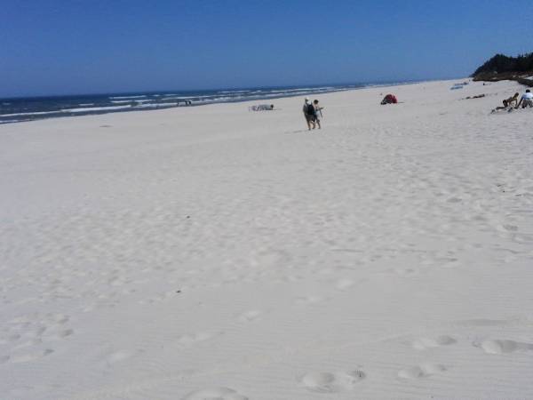 plaża (koniec maja) - 6km od Niebieskich Domków