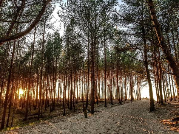 Domki Mielenko Akacjowa