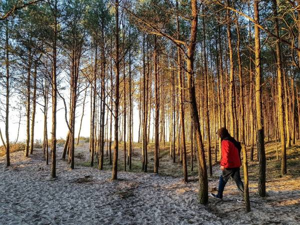 Domki Mielenko Akacjowa