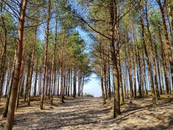 Domki Mielenko Akacjowa