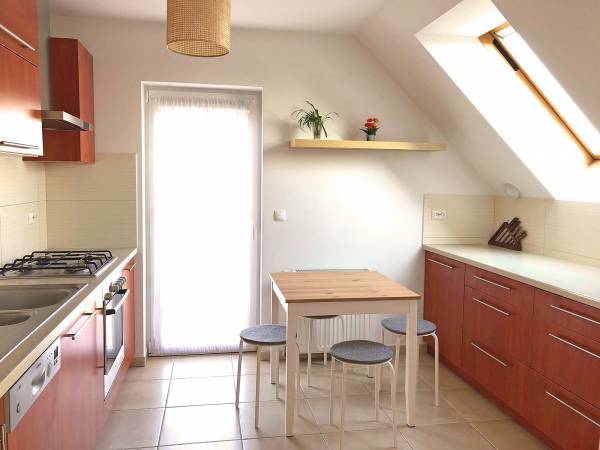 Wyjątkowy Apartament z Ogrodem 