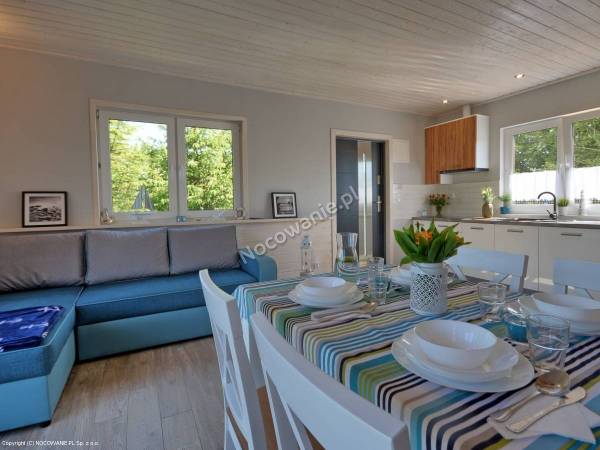 Salon z aneksem kuchennym