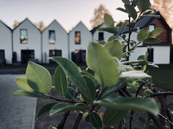 Domki apartamentowe Laba