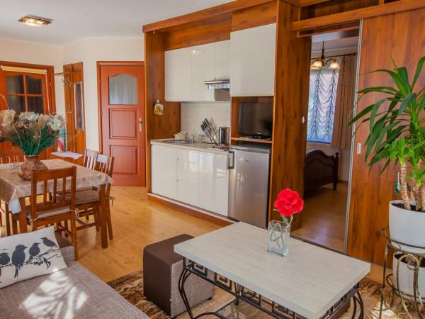 aneks kuchenny w apartamencie 2