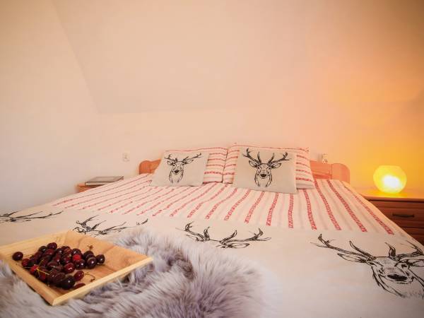 Ośrodek i Domki Góralskie- Folk Resort