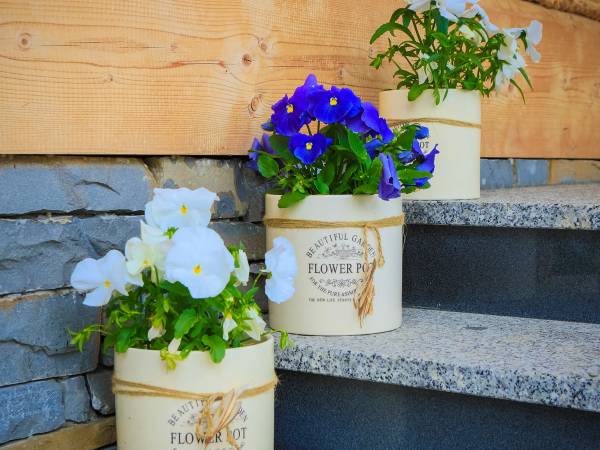 Ośrodek i Domki Góralskie- Folk Resort