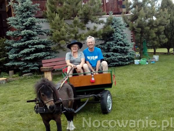 Agroturystyka u Krystyny