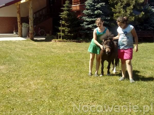 Agroturystyka u Krystyny