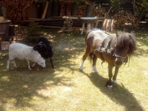 Agroturystyka u Krystyny