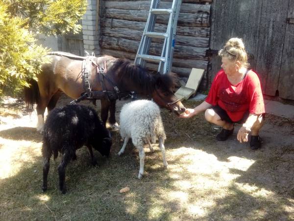 Agroturystyka u Krystyny