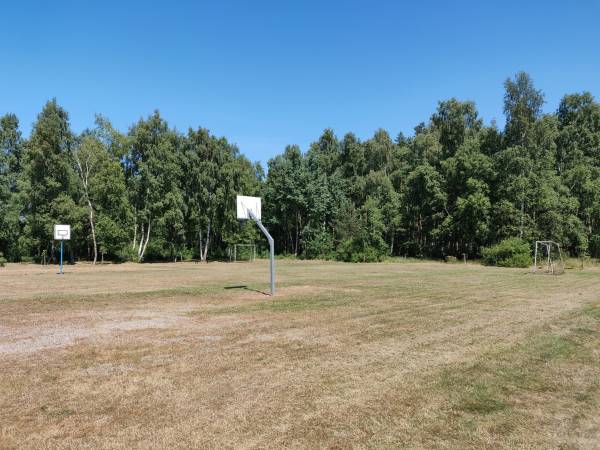 koszykówka i piłka nożna