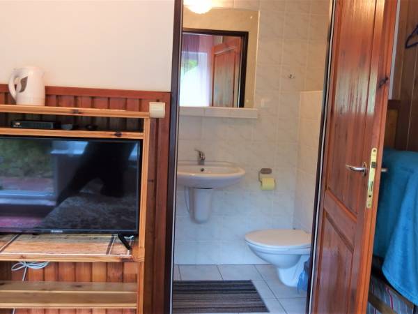 telewizja + internet