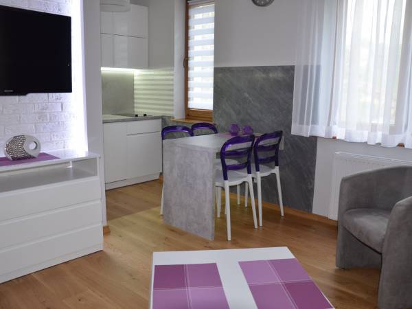 Salon z aneksem kuchennym