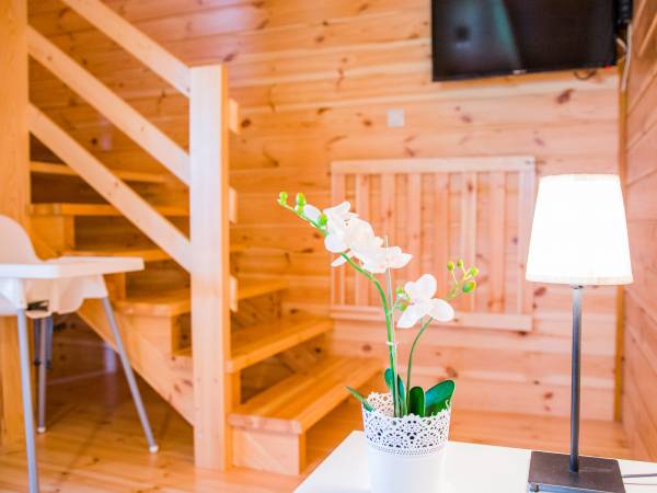  DOMKI LETNISKOWE SOSNOWO