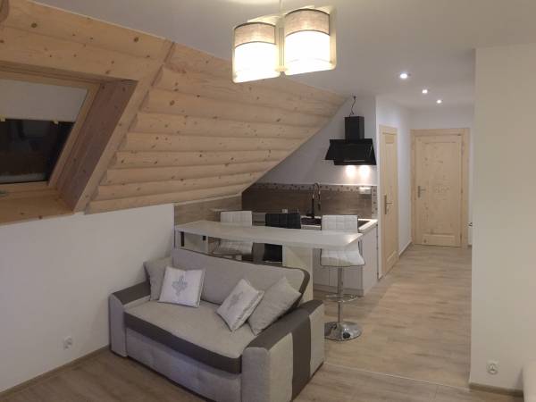 Apartament nr 3 - rozkładana sofa orak anek kuchenny