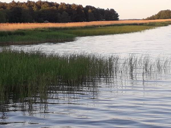 Dom Gościnny Cristal