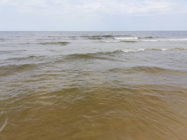 Domki u Zuzanny - okolica