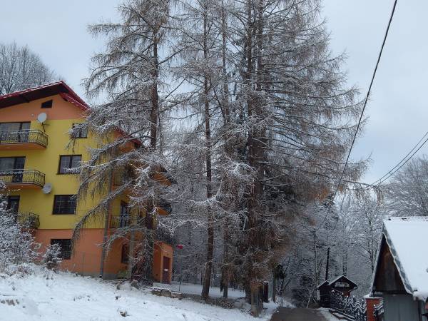 Willa RAJ widok od ulicy