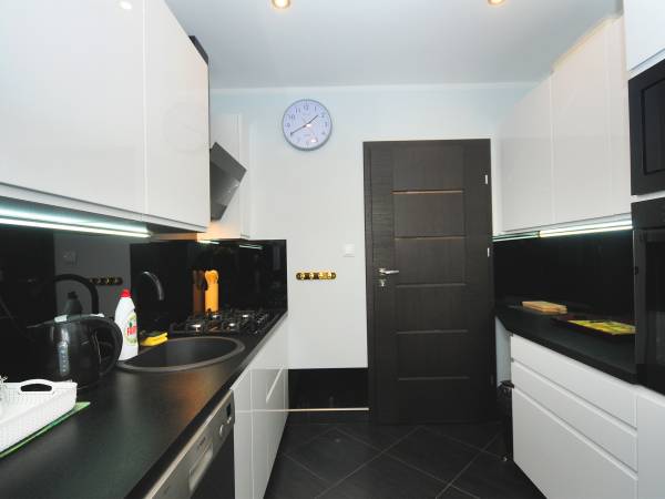 apartament jagodowy - kuchnia