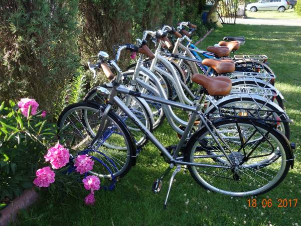 Wypożyczalnia rowerów