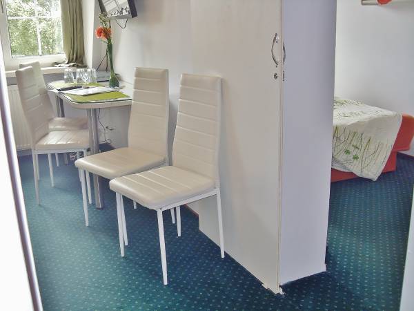 Pokój ( nr5) studio dla 2-4 osób z łózkiem małżeńskim ( lub 2 pojde. na życzenie), kanapą rozkładaną