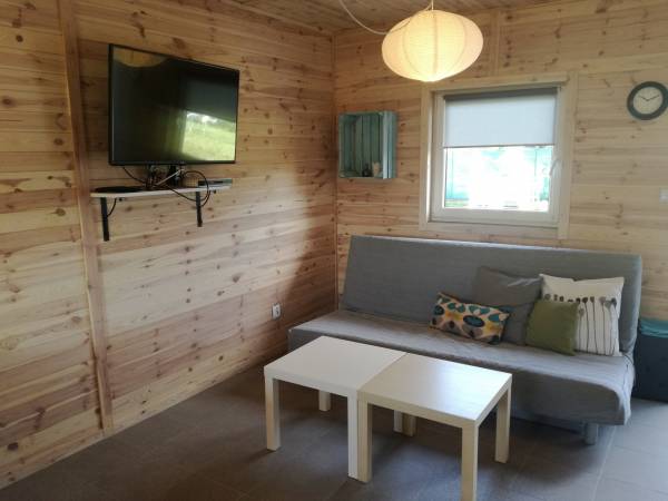 Pokój dzienny z aneksem kuchennym 