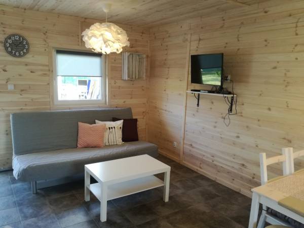 Pokój dzienny z aneksem kuchennym 