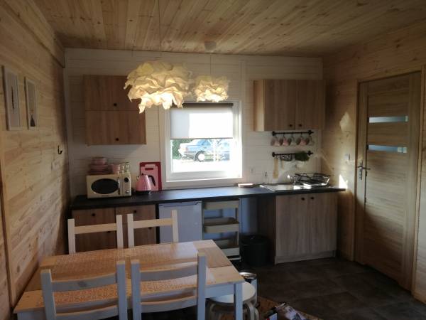 Pokój dzienny z aneksem kuchennym 