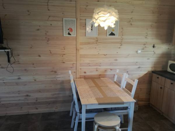 Pokój dzienny z aneksem kuchennym 