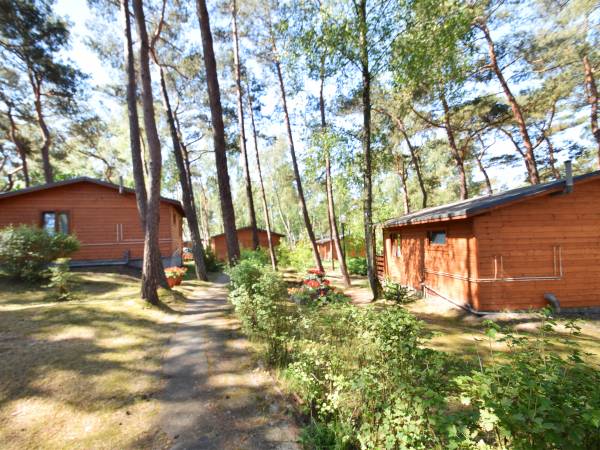 Ośrodek Turystyczno Wypoczynkowy Służba Dziecku