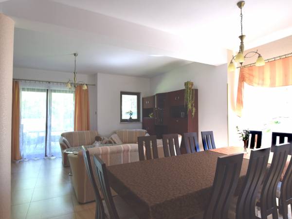 Salon kominkowy z tarasem, segment nr 1