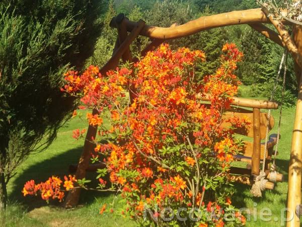 Wypoczynek nad Solinką