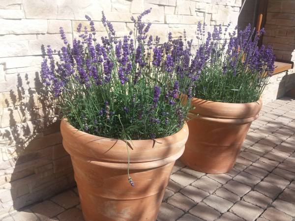 Wypoczynek nad Solinką