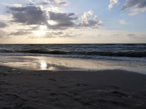 Apartament Biała Mewa