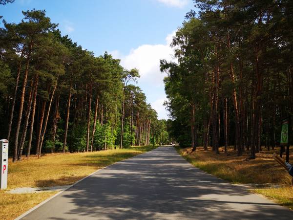 Apartament Biała Mewa