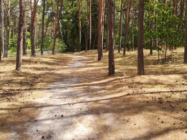 Apartament Biała Mewa