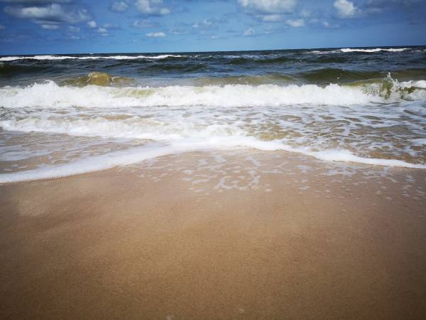 Apartament Biała Mewa